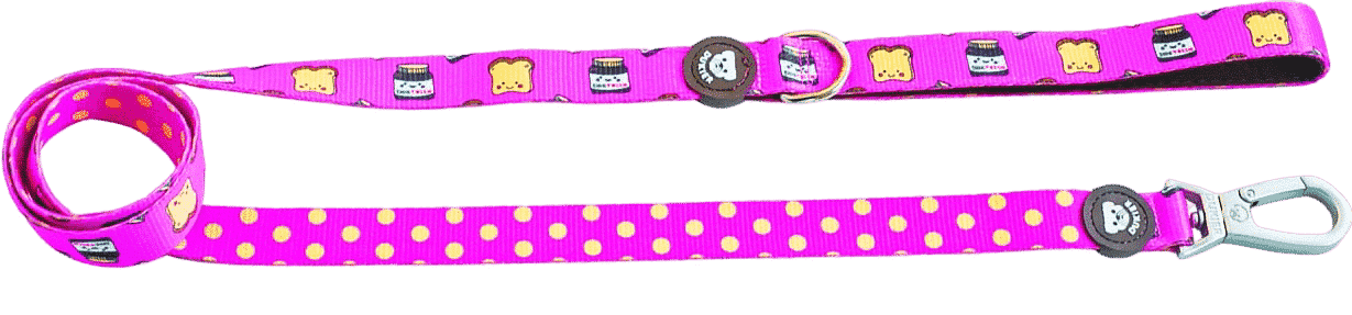 Smycz dla psa Dogtella