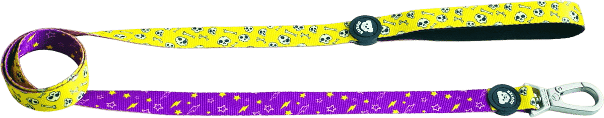 Smycz dla psa Skulls