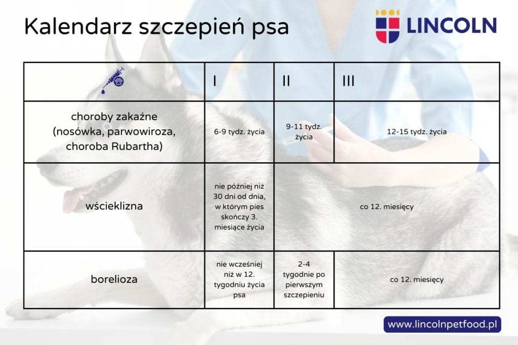 kalendarz szczepień psa