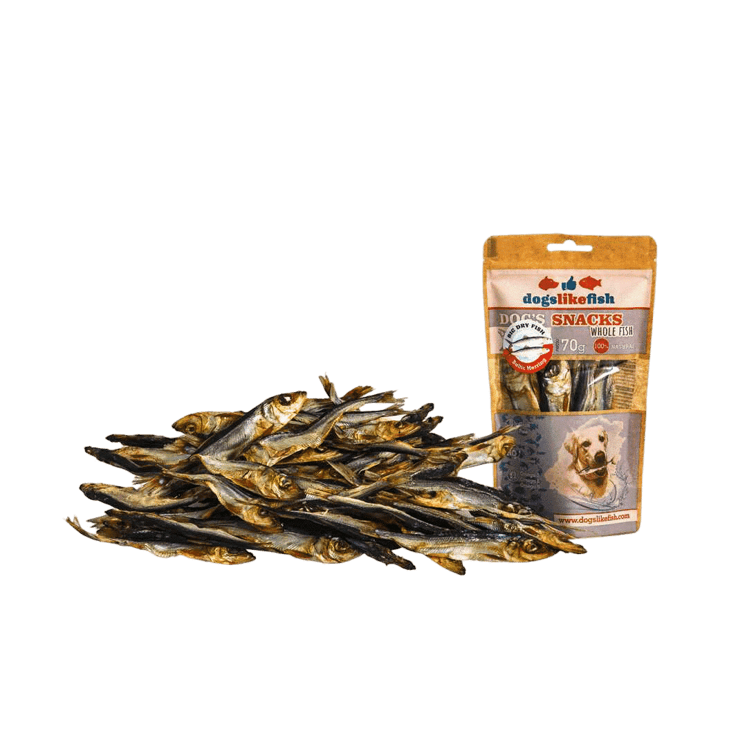 Śledź Bałtycki dla psa - DogsLikeFish
