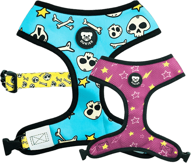 Szelki Dwustronne dla psa Skulls