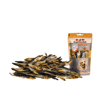 Śledź Bałtycki dla psa - DogsLikeFish