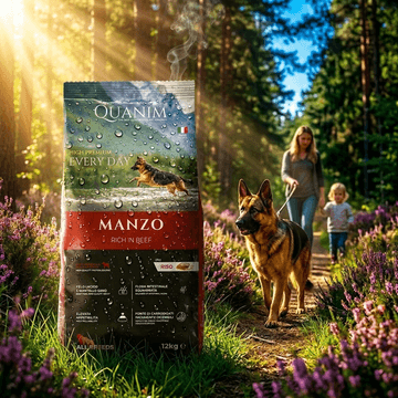 Quanim Karma sucha dla psa wołowina z ryżem 12kg